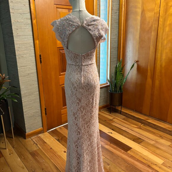 Pink Lace Evening Gown Size 5 - Picture 5 of 6